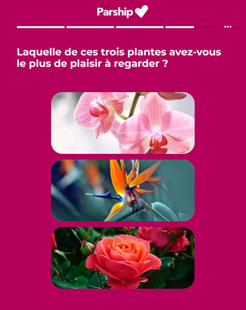 Parship Test de personnalité 4